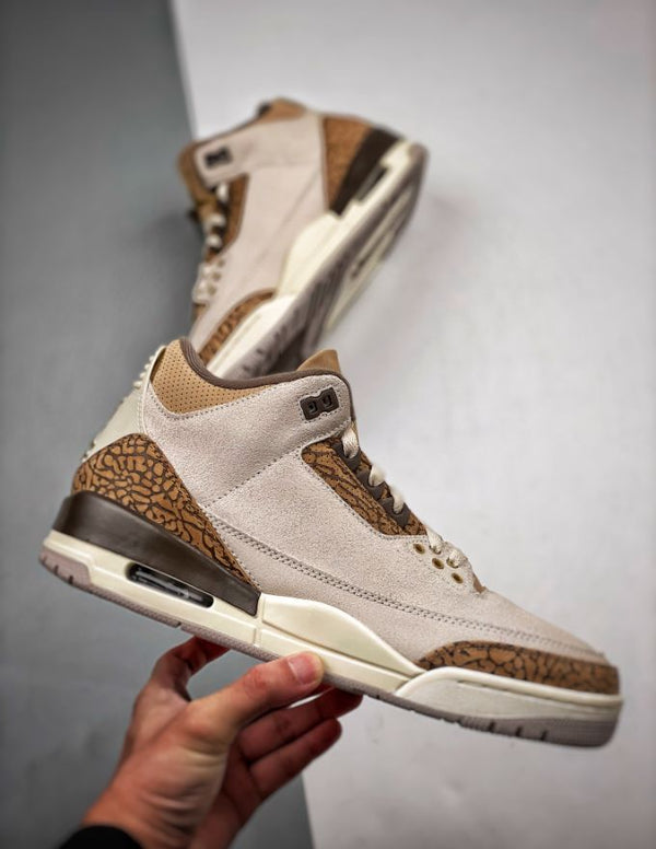 Nike Air Jordan 3 Palomino | Provehito