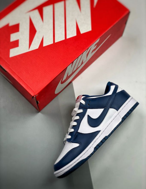 Nike Dunk Low Valerian Blue | Provehito