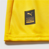 Borussia Dortmund Maglia Home 2025/2026 - Provehito