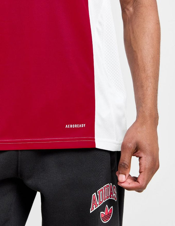 Ajax Maglia Home 2024/2025 | Provehito