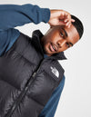 The North Face Smanicato Nuptse 1996 | Provehito