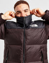 The North Face Giubbotto Nuptse 1996 | Provehito